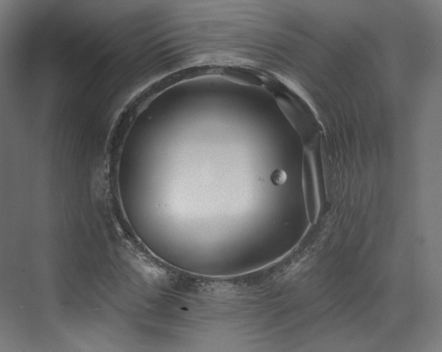 X0000074040971200608211514