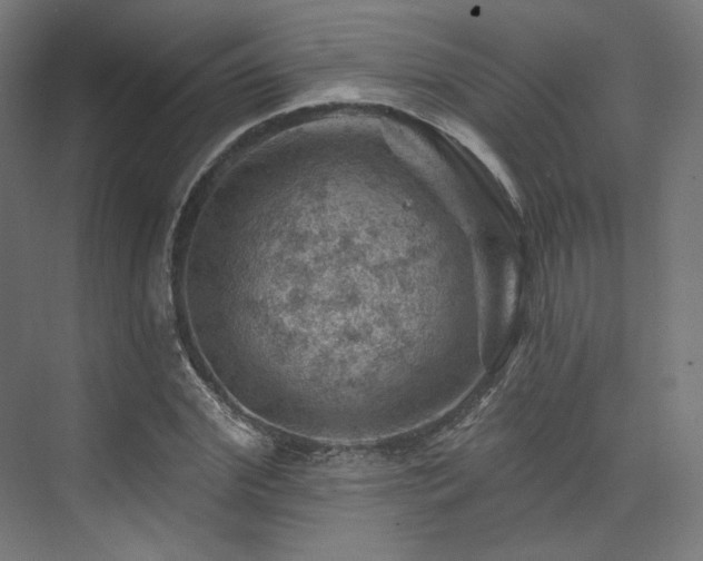 X0000074040972200608211514