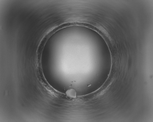 X0000074040974200608211514