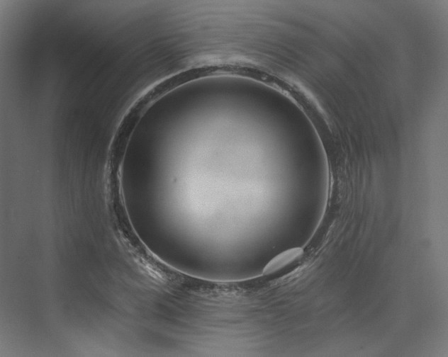 X0000074040975200608211514