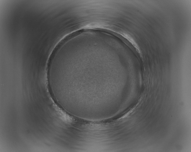 X0000074040976200608211514