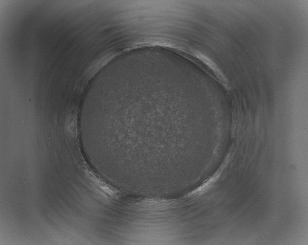 X0000074040977200608211514