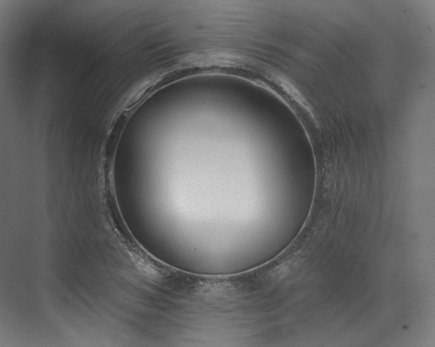 X0000074040978200608211514