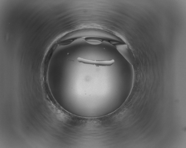 X0000074040979200608211514