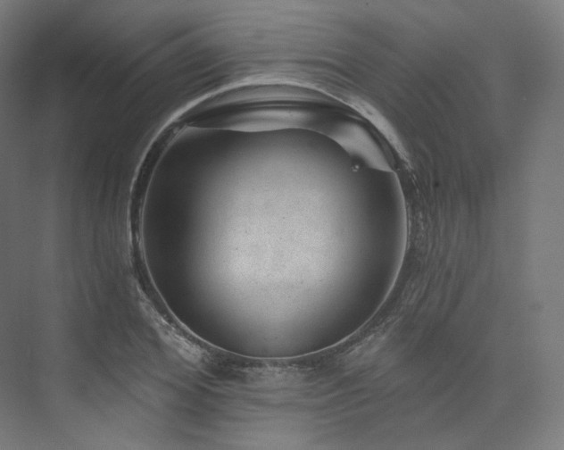 X0000074040980200608211514