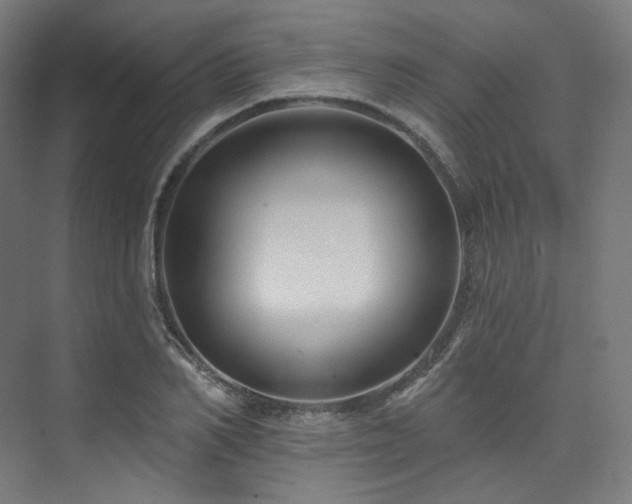 X0000074040982200608211514