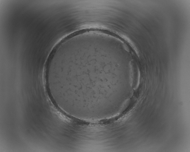 X0000074040983200608211514