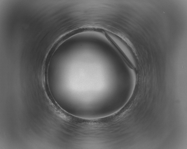 X0000074040984200608211514