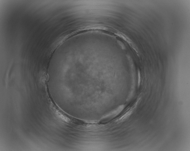 X0000074040985200608211514