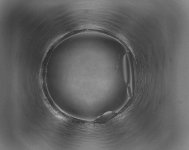 X0000074040987200608211514