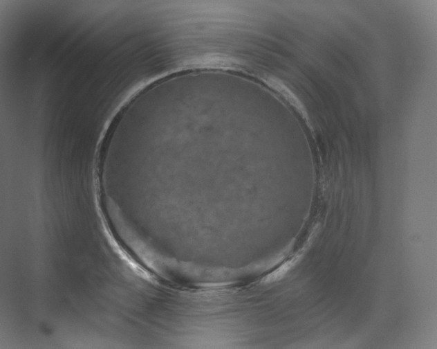 X0000074040989200608211514