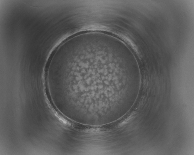 X0000074040990200608211514