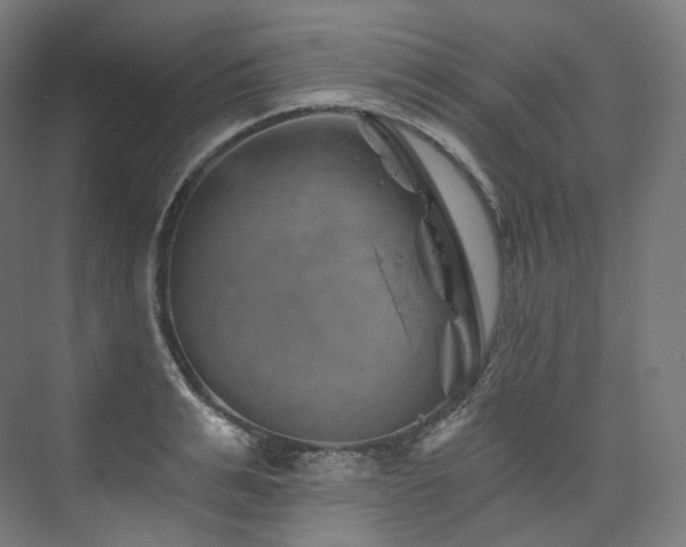 X0000074040991200608211514