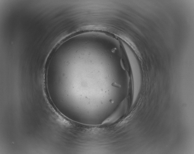 X0000074040992200608211514