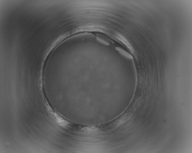 X0000074040994200608211514