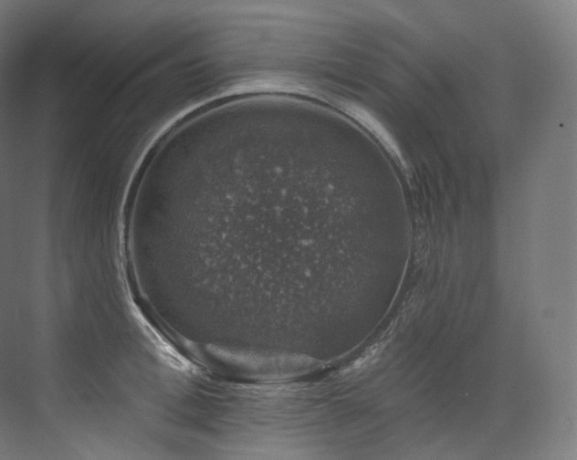 X0000074040996200608211514