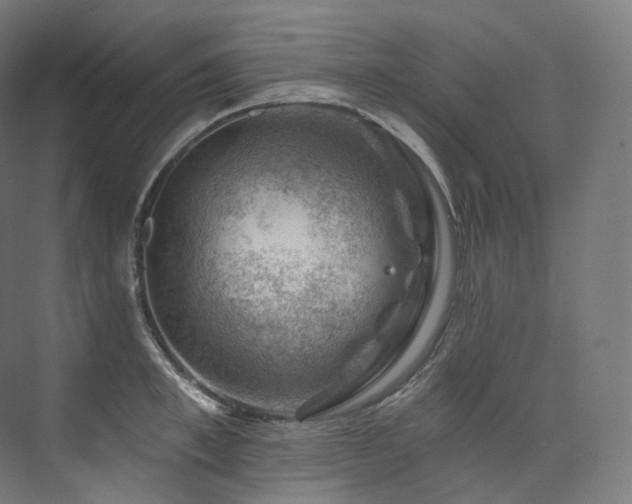 X0000074040997200608211514