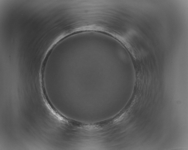 X0000074040998200608211514