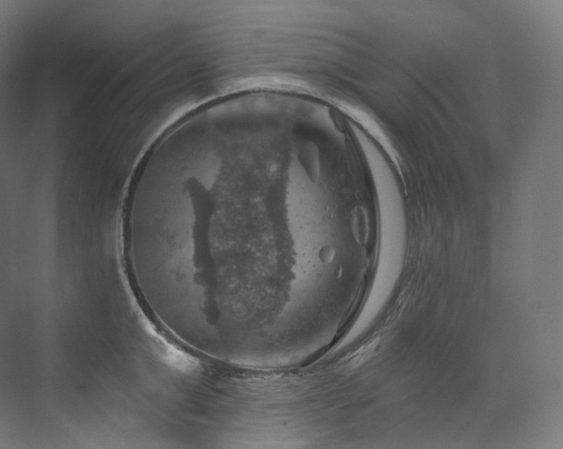 X0000074040999200608211514