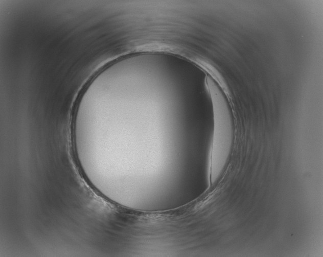 X0000074041000200608211514