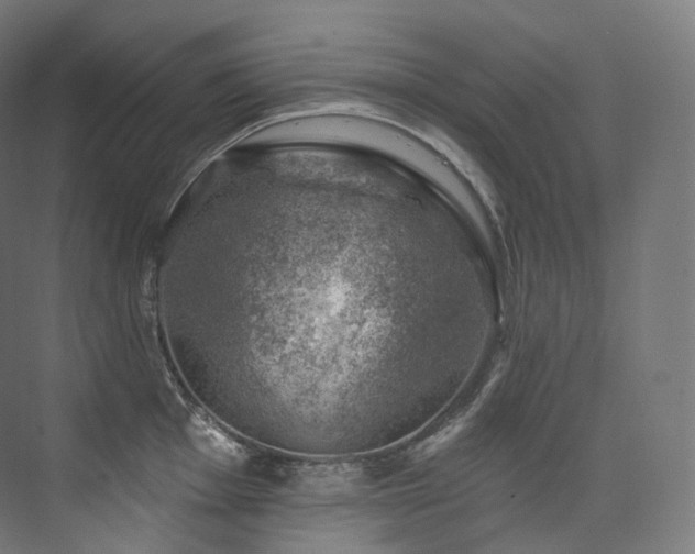 X0000074041001200608211514