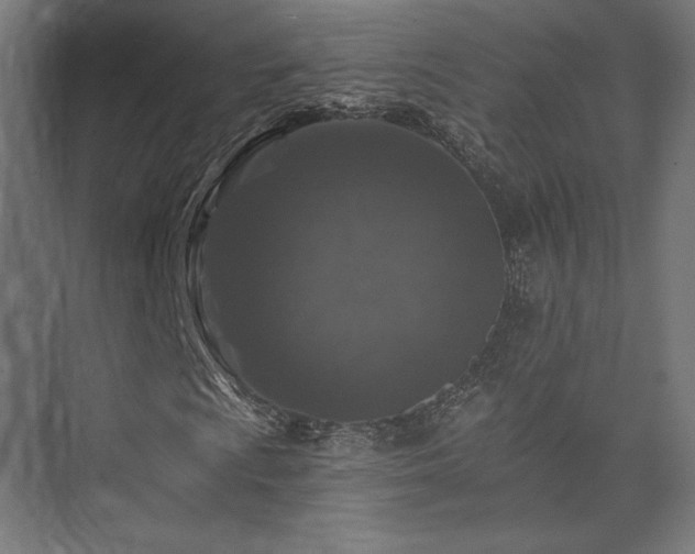 X0000074041009200608211513