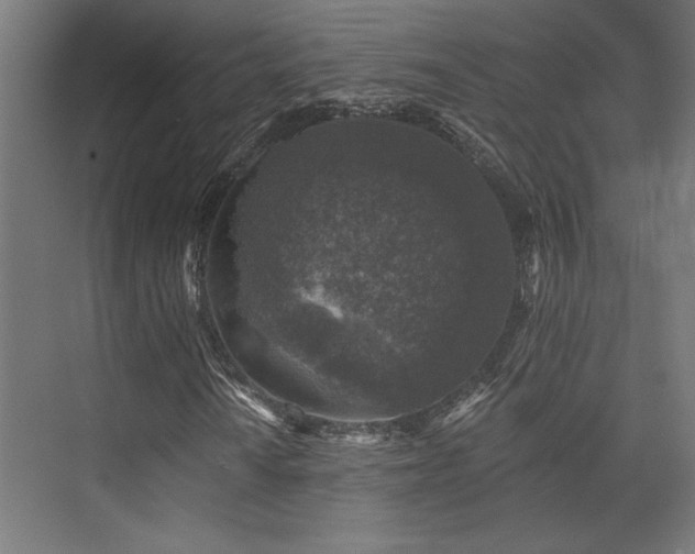 X0000074041010200608211513