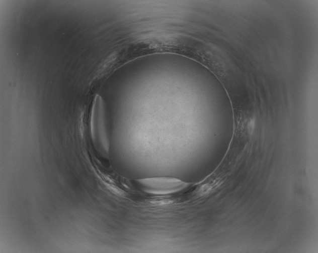 X0000074041012200608211513