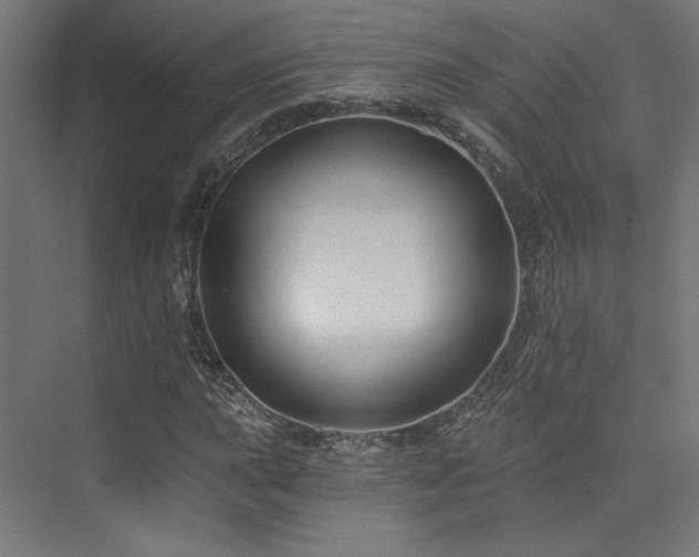 X0000074041015200608211513
