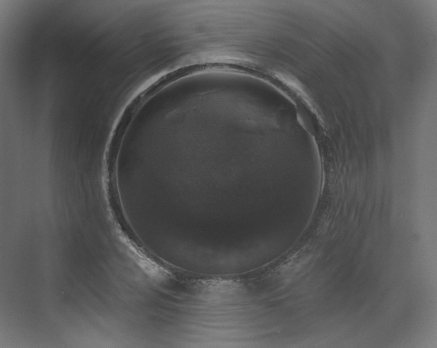 X0000074041024200608211513