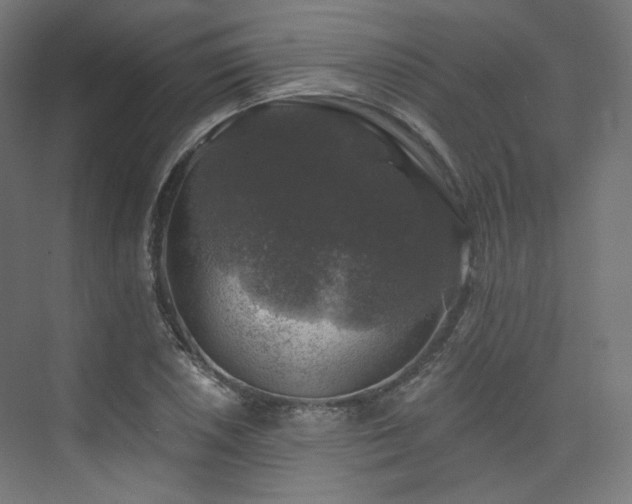 X0000074041026200608211513
