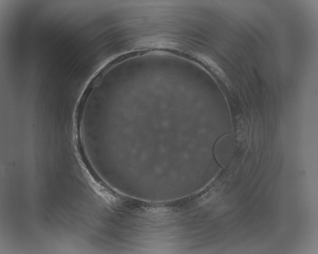 X0000074041031200608211513