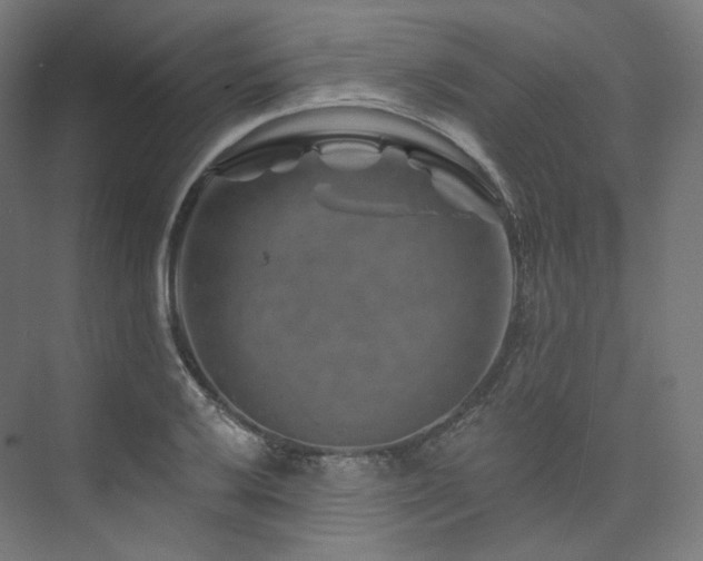 X0000074041032200608211513