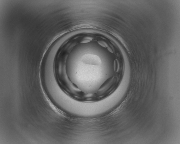 X0000074041034200608211513