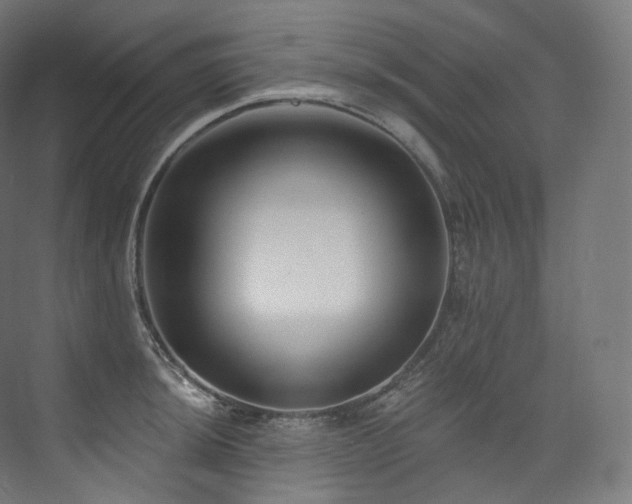 X0000074041044200608211513