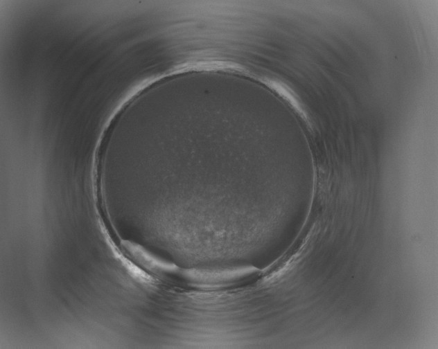 X0000074041046200608211513