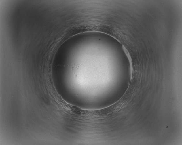 X0000074041057200608211513