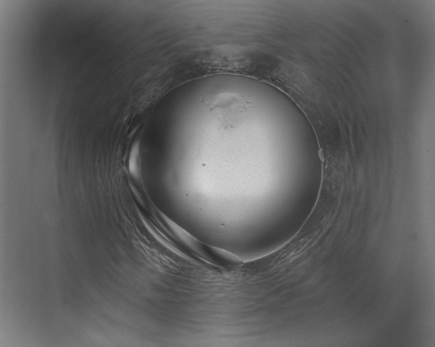 X0000074041058200608211513