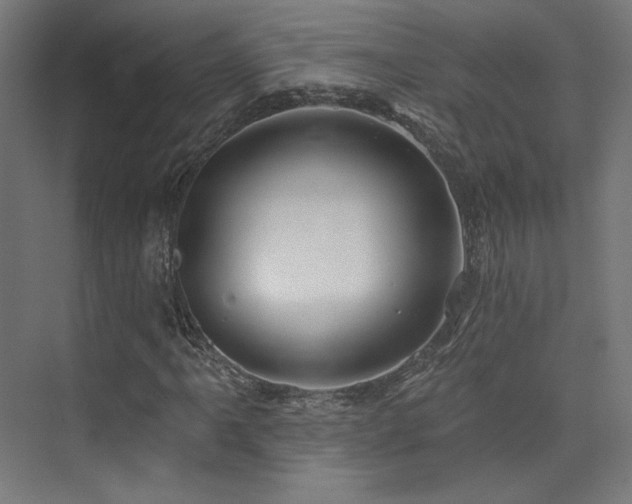 X0000074041061200608211513