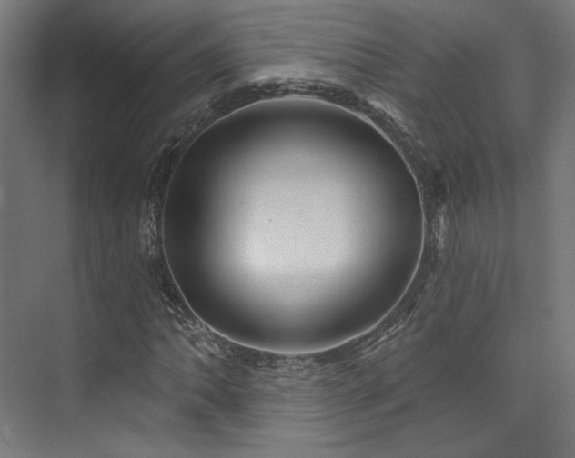 X0000074041062200608211513