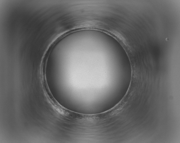 X0000074041078200608211512