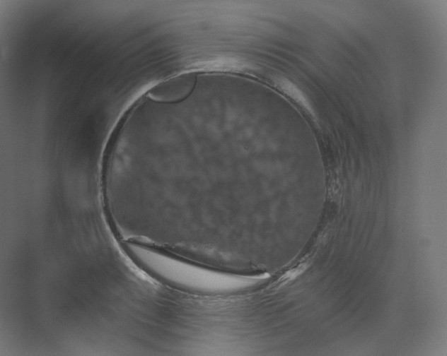 X0000074041087200608211512