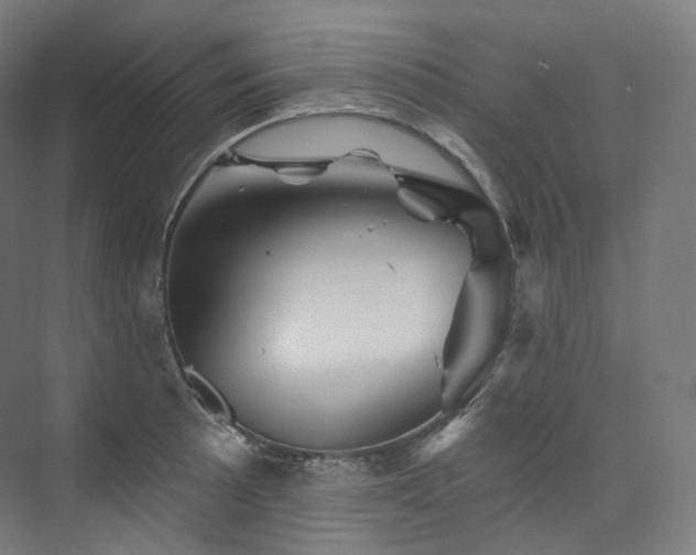 X0000074041089200608211512