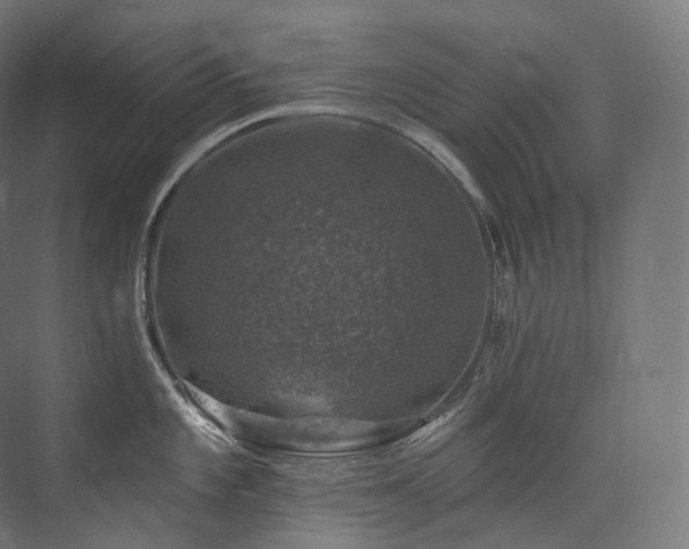 X0000074041101200608211512