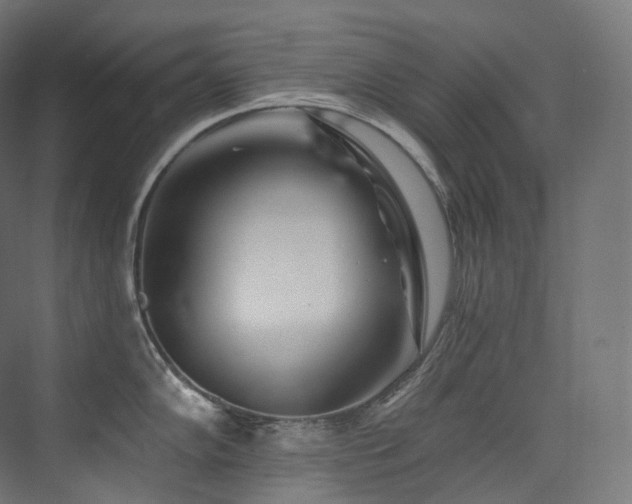 X0000074041102200608211512