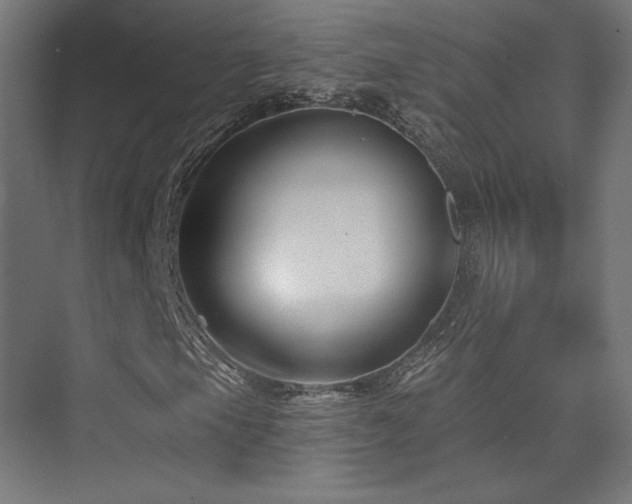 X0000074041105200608211511