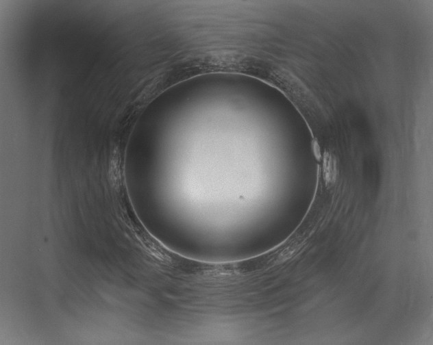 X0000074041107200608211511