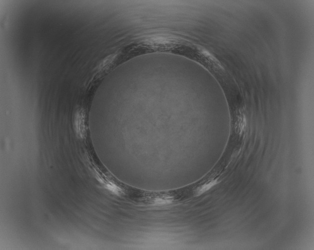 X0000074041108200608211511