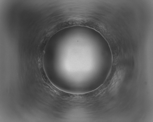 X0000074041109200608211511
