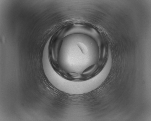 X0000074041110200608211511